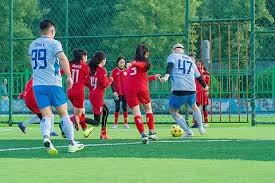 详解棒球装备的材质进化从马皮棒球到现代合成纤维球具的转变